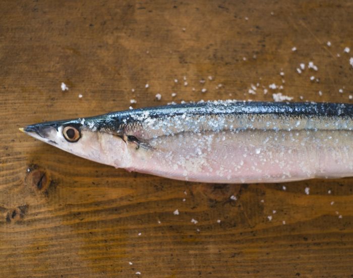 塩を振られた魚の写真