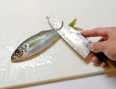 魚