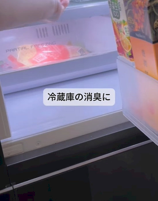 冷蔵庫内の消臭も
