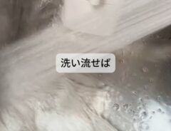 掃除