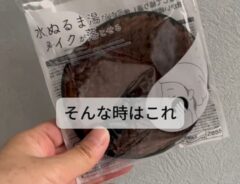 掃除
