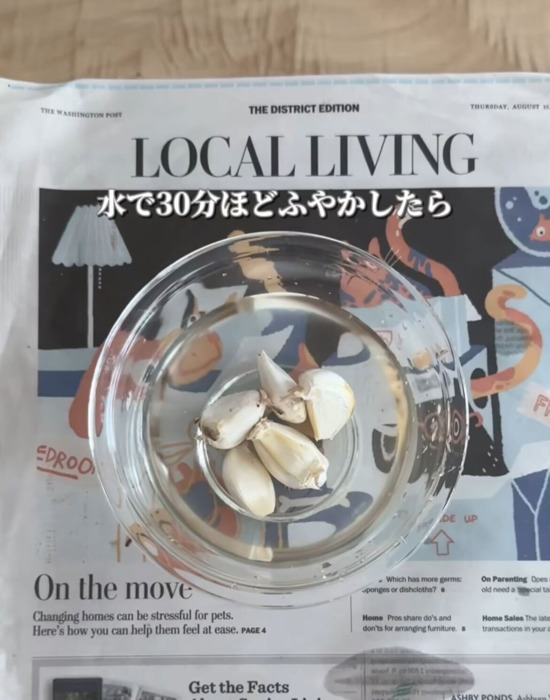 ニンニクを水に浸けている様子