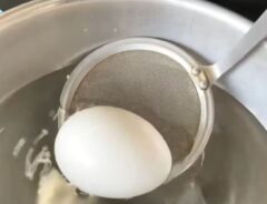 ゆで卵