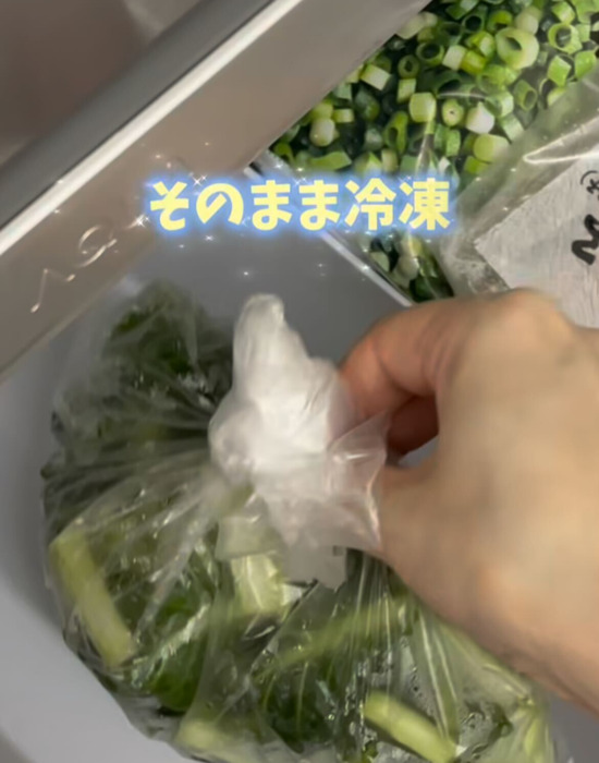 小松菜を冷凍庫へ入れている様子