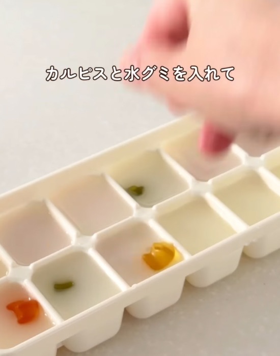 製氷皿に入れる
