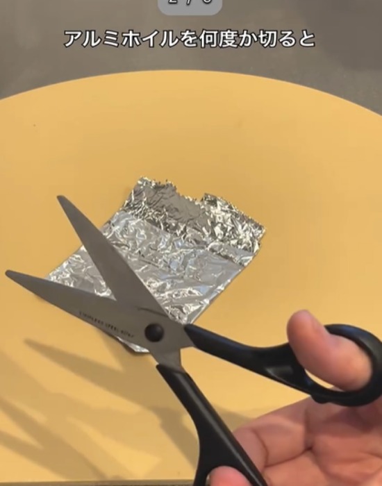 ハサミを手にしている様子