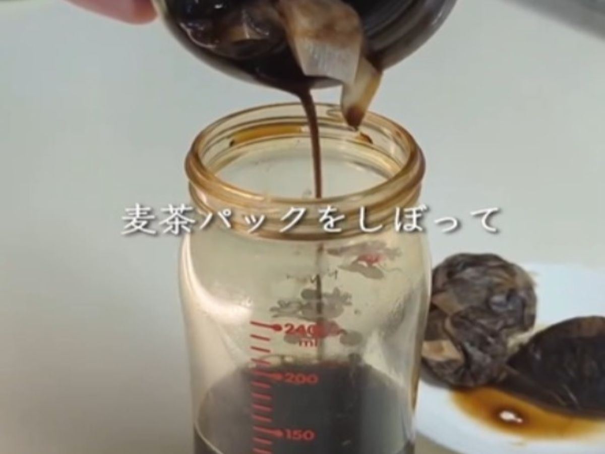麦茶