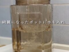 麦茶