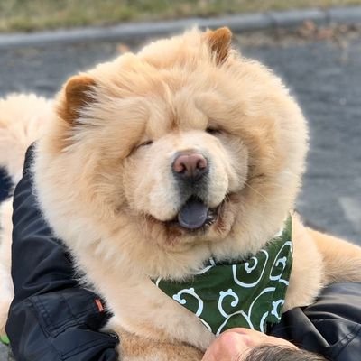 くり蔵の写真