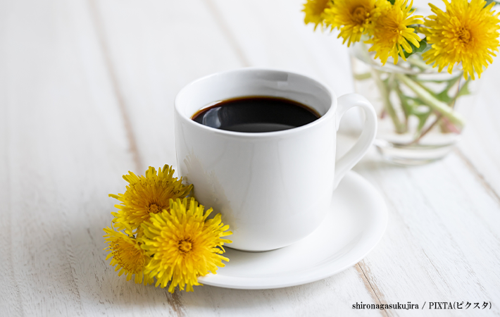 たんぽぽコーヒー