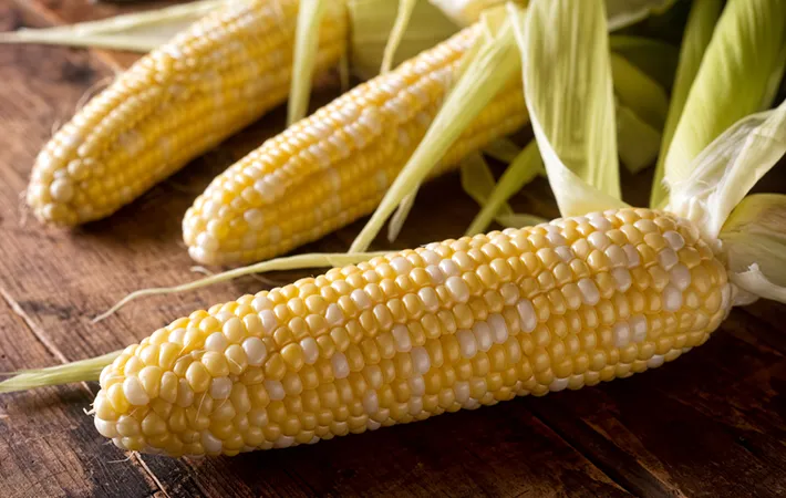 立秋に旬を迎える食べ物