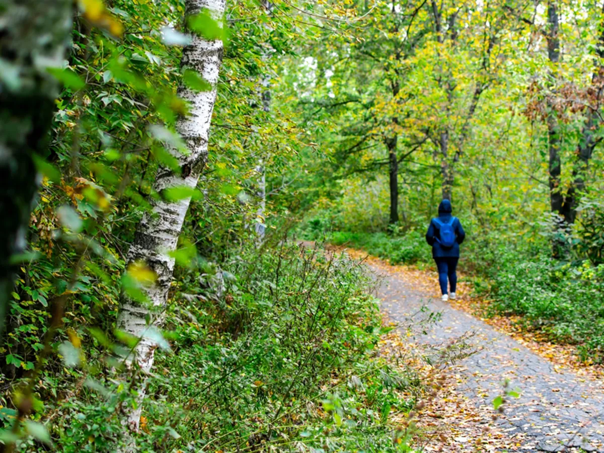 季節の節目『処暑』とは？意味や時期、行事などを解説