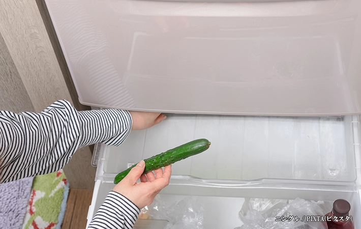 冷蔵できゅうりを日持ちさせる保存方法