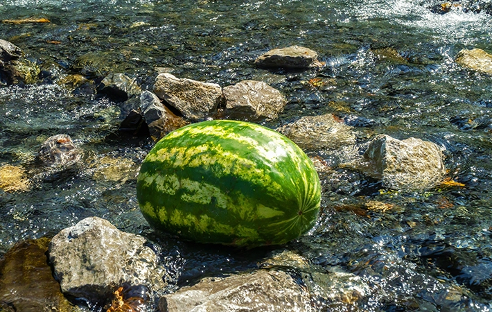 保存期間の目安