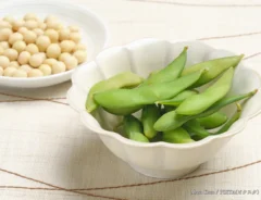 『枝豆』と『大豆』の違いは？黒豆や小豆、もやしとの関係も徹底解説！