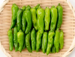 辛いししとうの見分け方とは？辛くなる理由と食べた時の対処法を解説