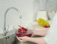 『ぶどう』は水洗いだけじゃダメ？正しい洗い方とタイミングを解説