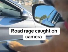 車とチワワの写真