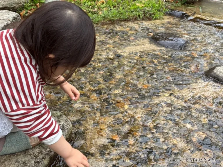 水辺の女の子の写真