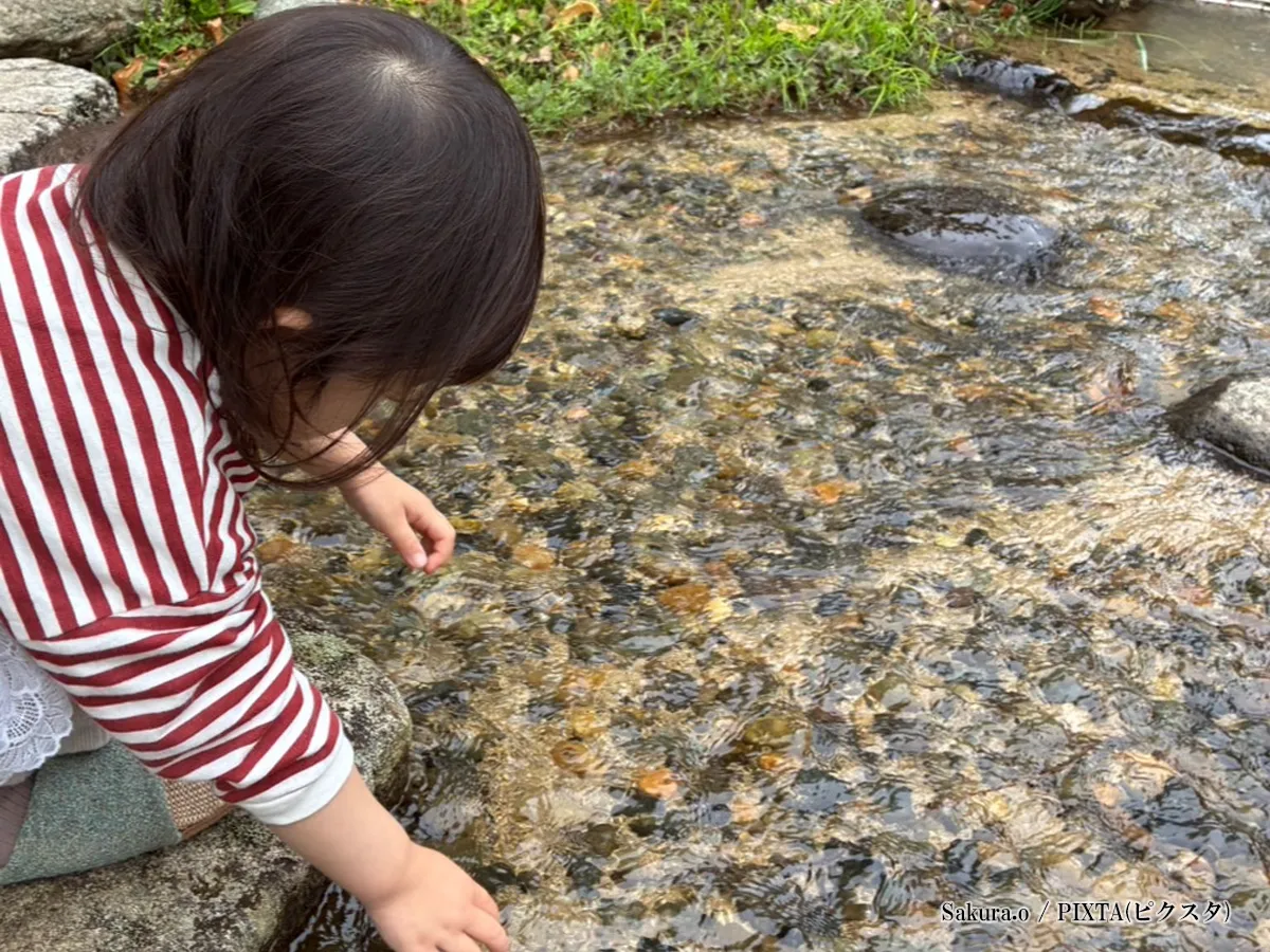 水辺の女の子の写真
