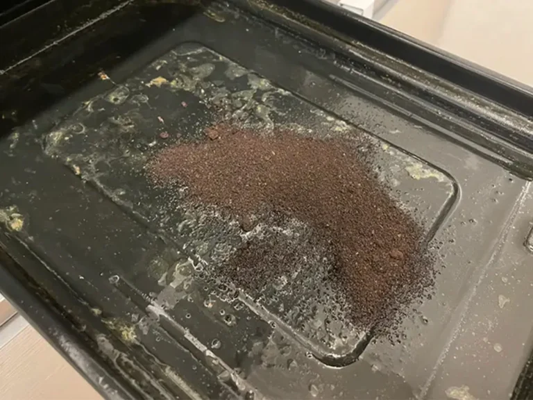 コーヒーかす活用法の写真