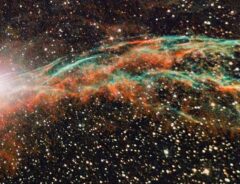『網状星雲』の写真