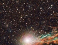 『網状星雲』の写真