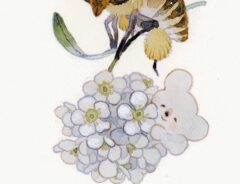水彩画