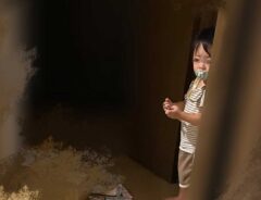 子供の画像