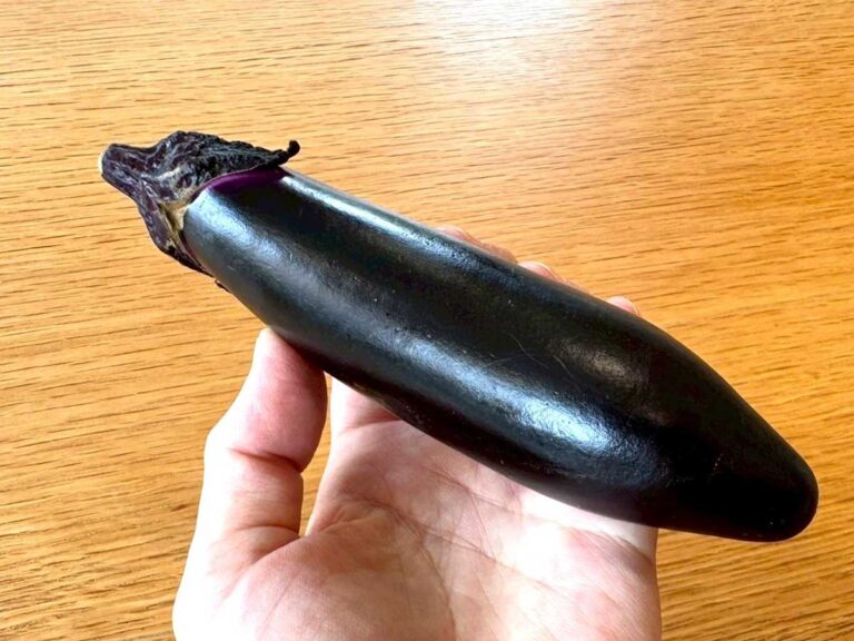 ナスのホイルマヨ焼きレシピ写真