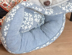 犬用ベッドの写真