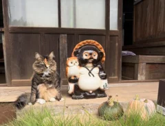hinamomocatさんの投稿写真