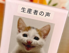 猫のアクリルスタンド