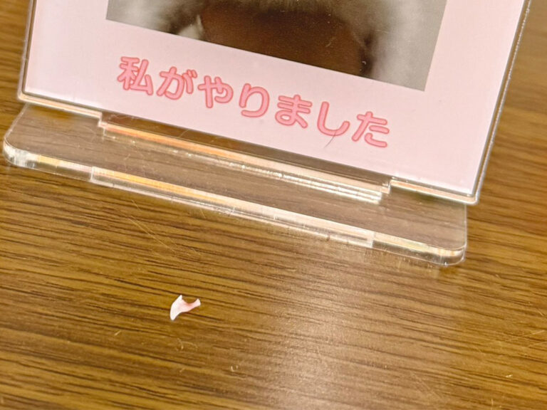 猫のアクリルスタンド