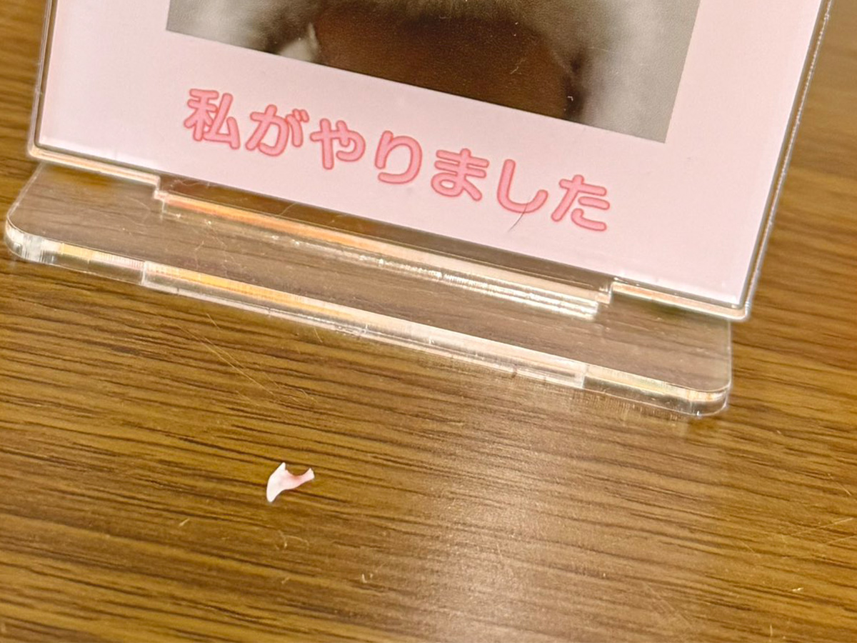 猫のアクリルスタンド