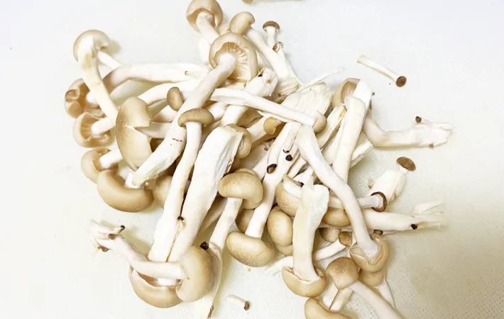 『きのこのオイル漬け』を作る写真