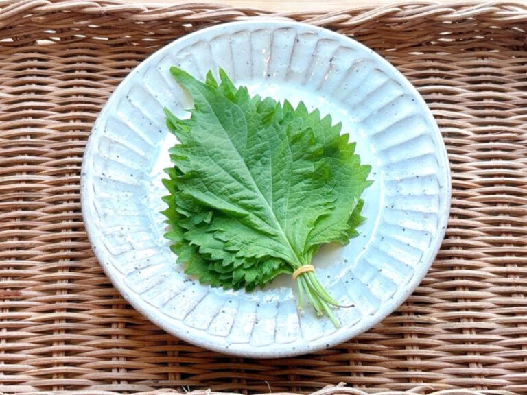 大葉の写真
