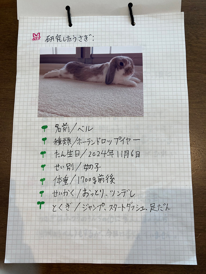 自由研究の写真
