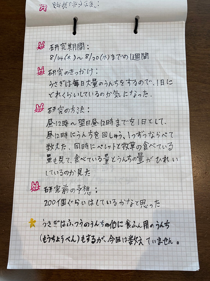 自由研究の写真