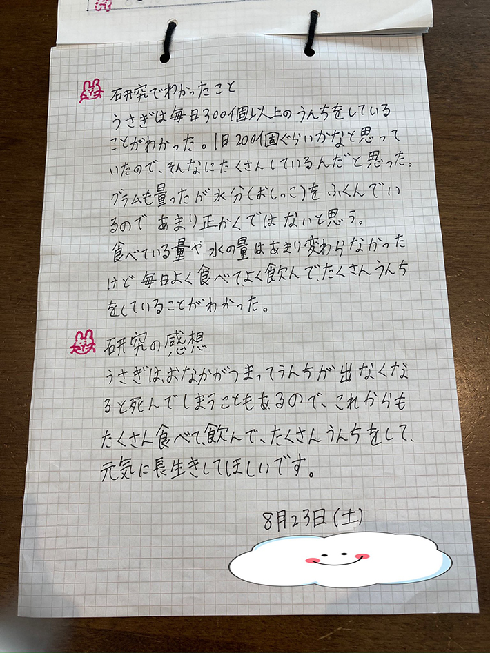 自由研究の写真