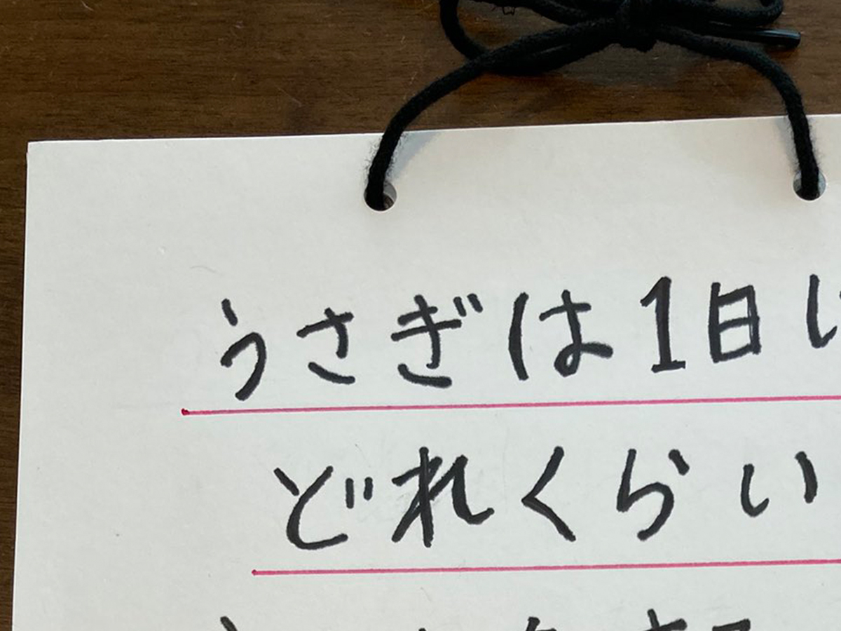 自由研究の写真