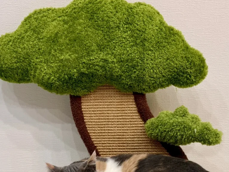 猫のむぎちゃん