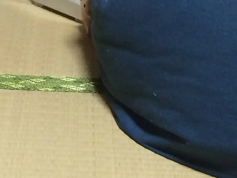 ハムスターの写真