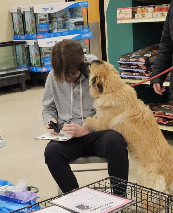男性と犬の写真