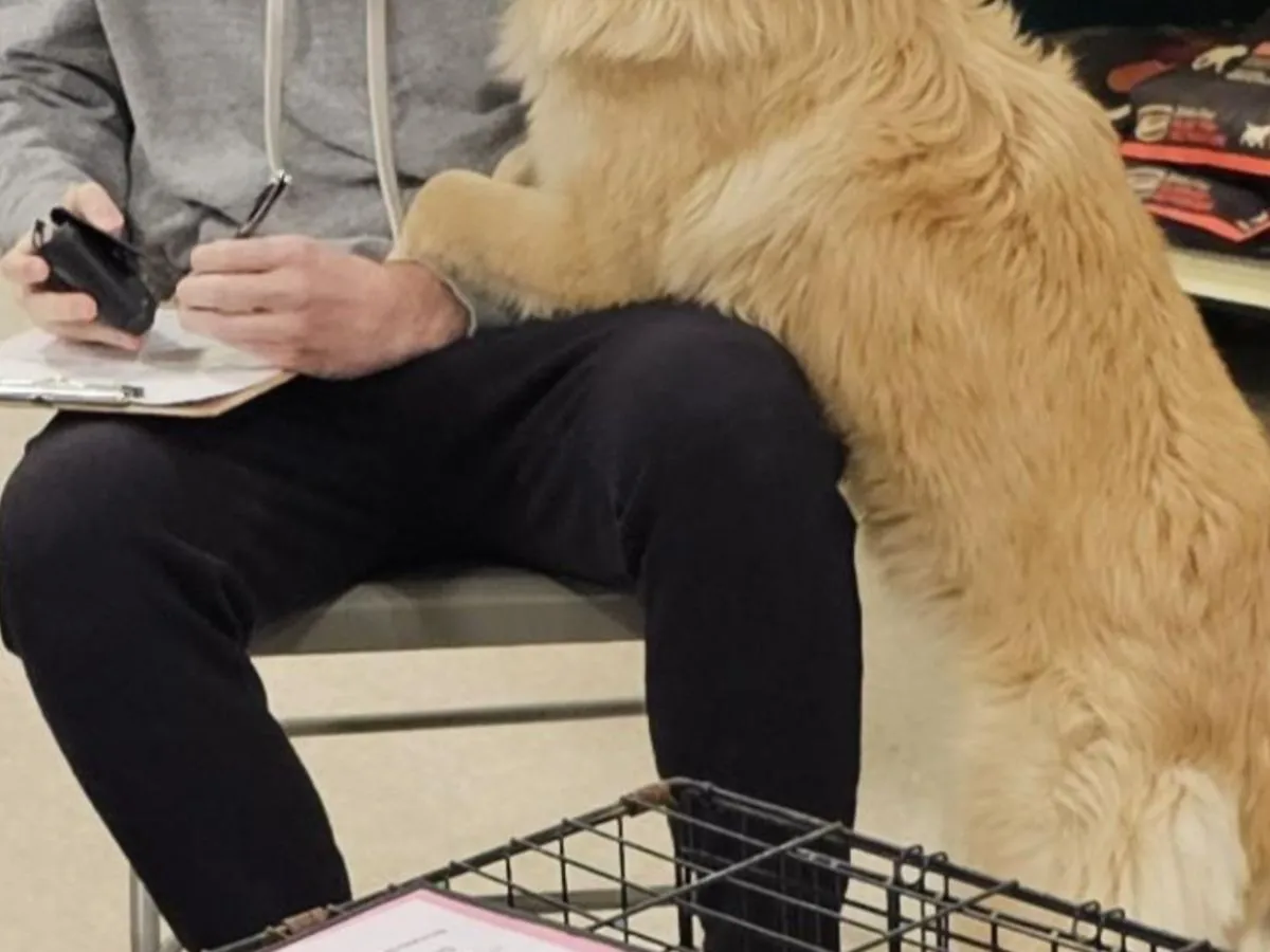 男性と犬の写真