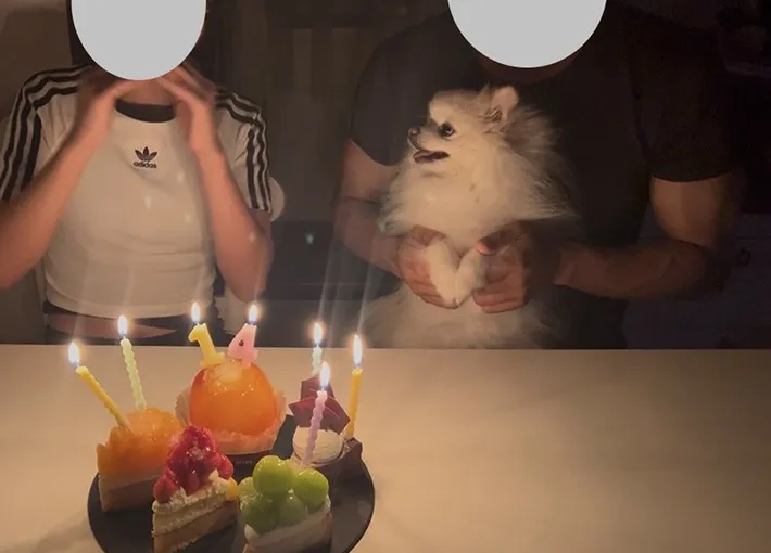 誕生日会に参加する犬のぽんちゃん