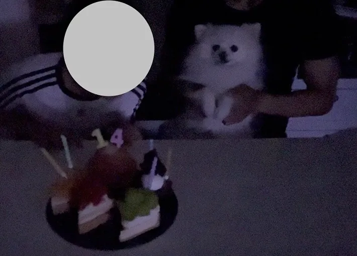 誕生日会に参加する犬のぽんちゃん