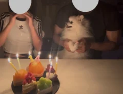 誕生日会に参加する犬のぽんちゃん