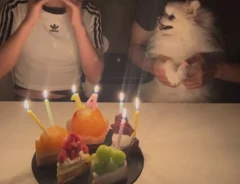誕生日会に参加する犬のぽんちゃん