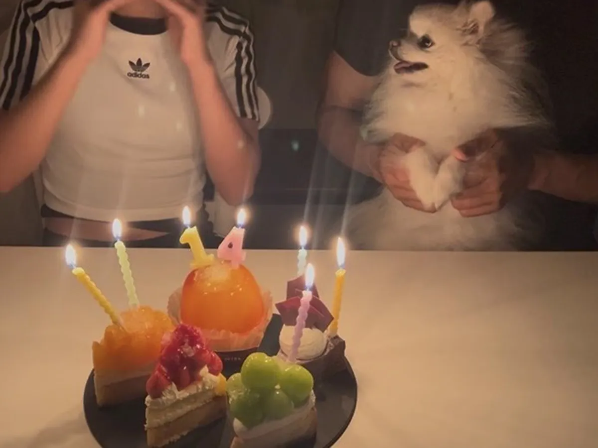 誕生日会に参加する犬のぽんちゃん